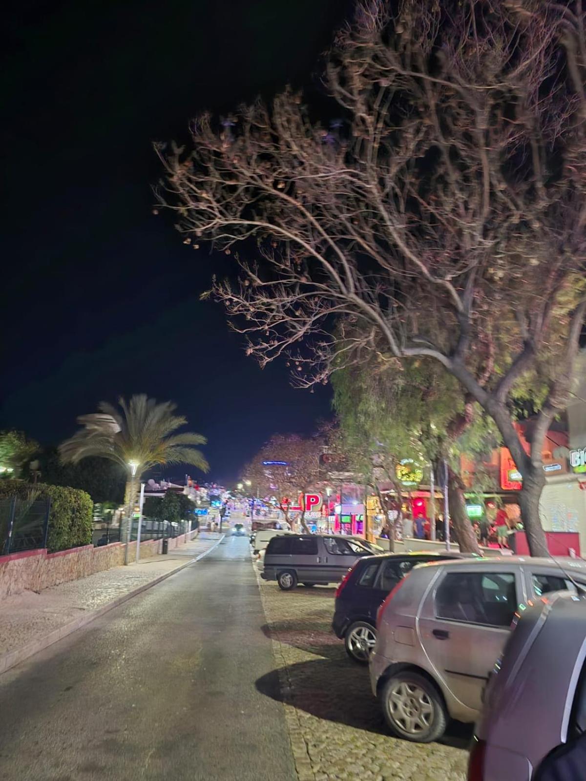 Appartamento Rua Dos Bares Em *